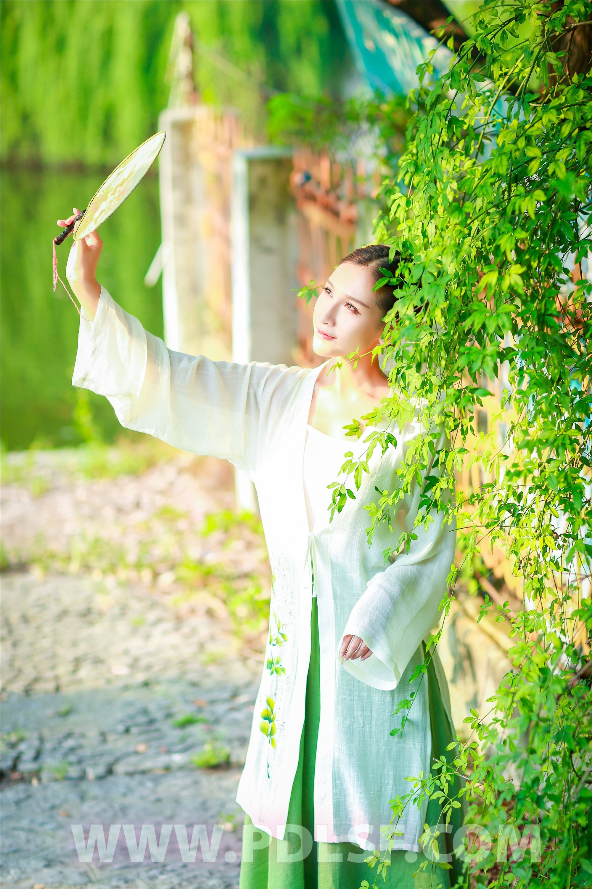 PDL潘多拉 2020.02.22 专辑No.281